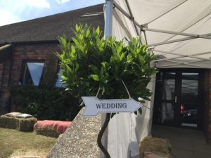 wedding-entrance